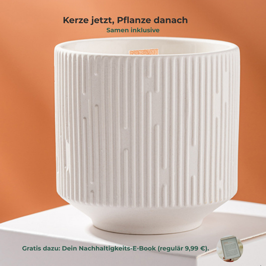 BloomCandle